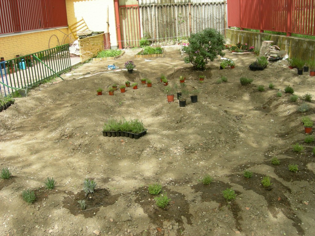 Jardín de aromáticas