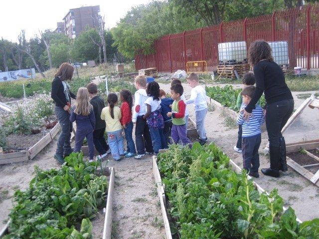 jardin vecinos